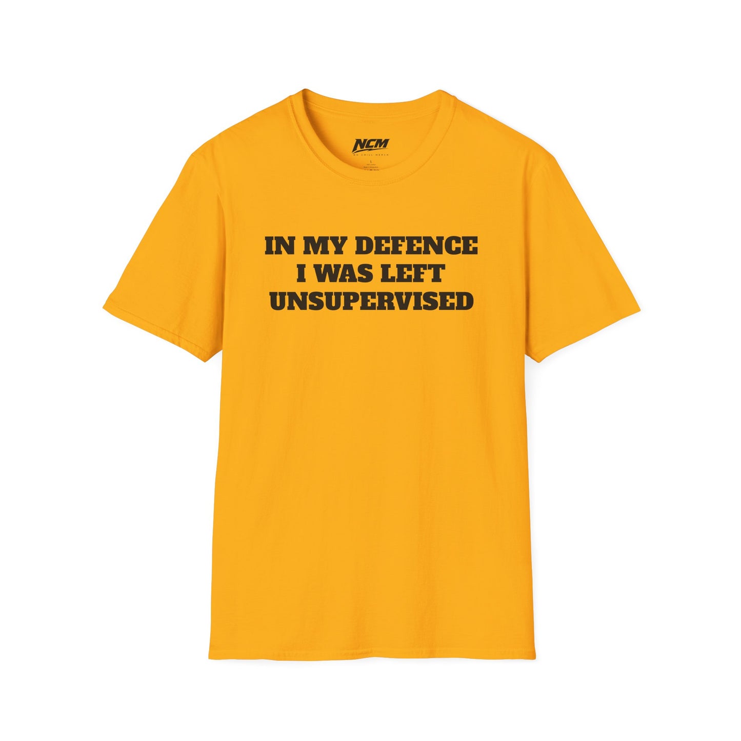I Was Unsupervised T-Shirt