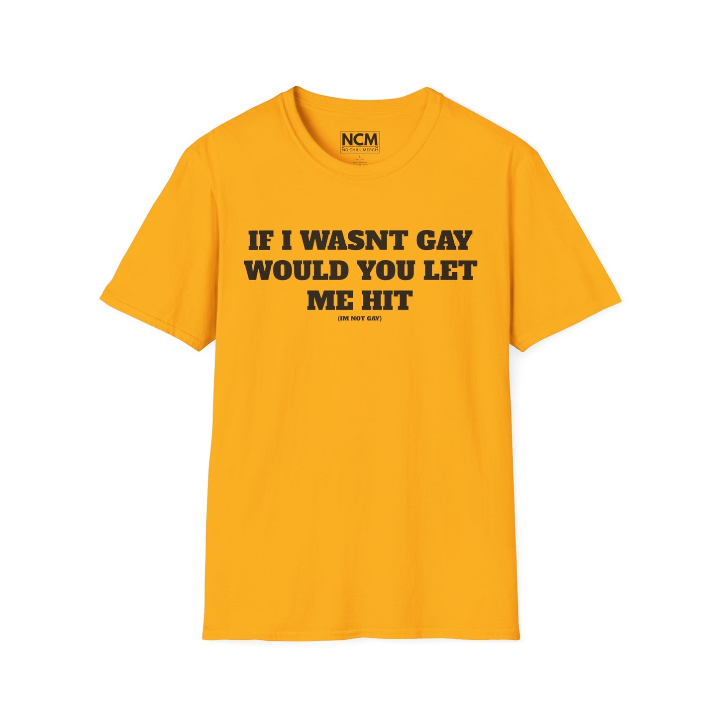 If I Wasn't Gay T-Shirt