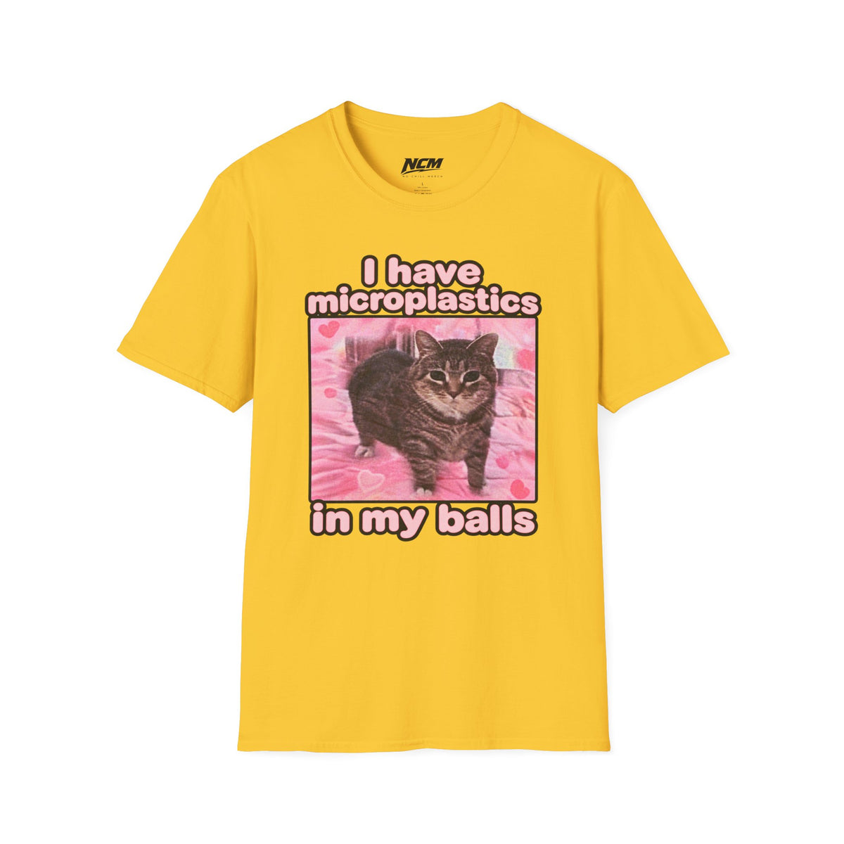 I have microplastics in my balls T-Shirt
